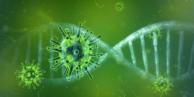 Clicca per leggere il rapporto coronavirus 640