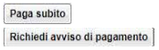 pagoOnline1 1