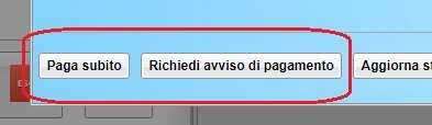 pagoOnline2